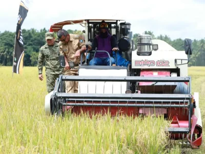 Bupati Bulukumba panen raya di Bontoharu. Foto dok Kominfo