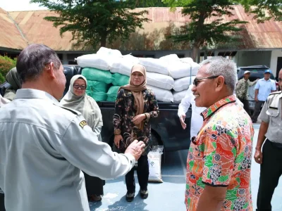 Pemerintah Kabupaten Bulukumba menerima bantuan benih padi unggul sebanyak 10 ton
