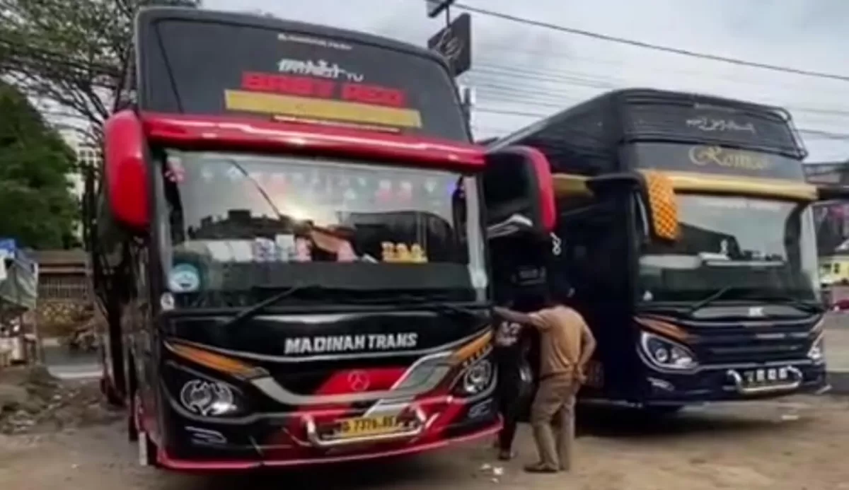 Bus AKAP Madinah Trans